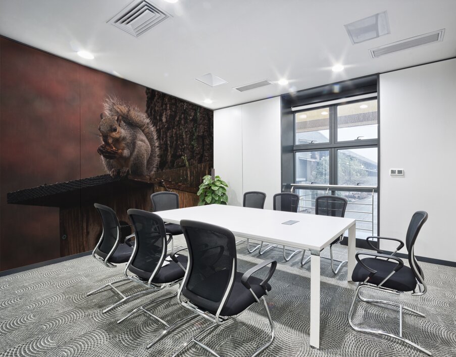 Squirrel on a Birdhouse   Rainy Autumn Wall Printing