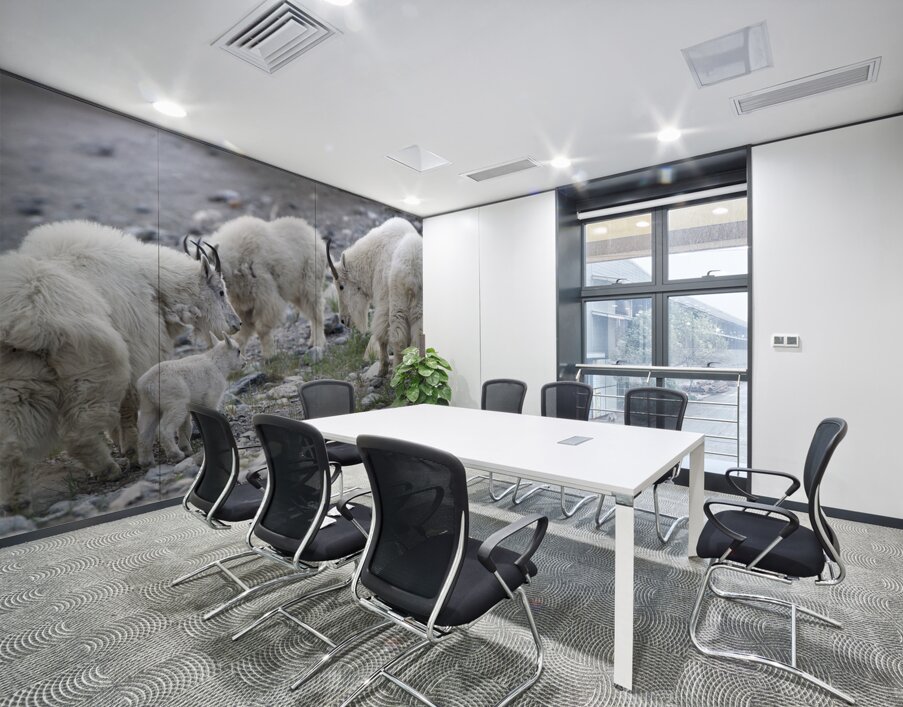 The Graceful Herd: White Mountain Goats in the Wild Wall Printing