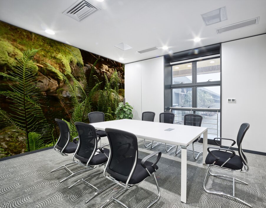 Summer Forest Ferns in the Scottish Highlands  Wall Printing