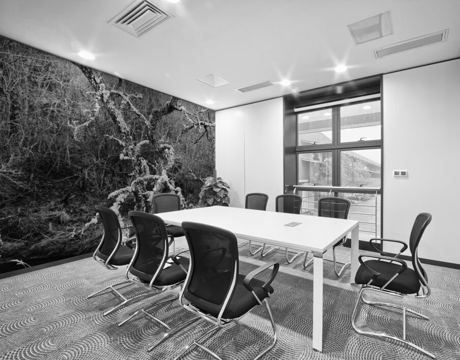 Black and White Winter in the Scottish Highlands Wall Printing