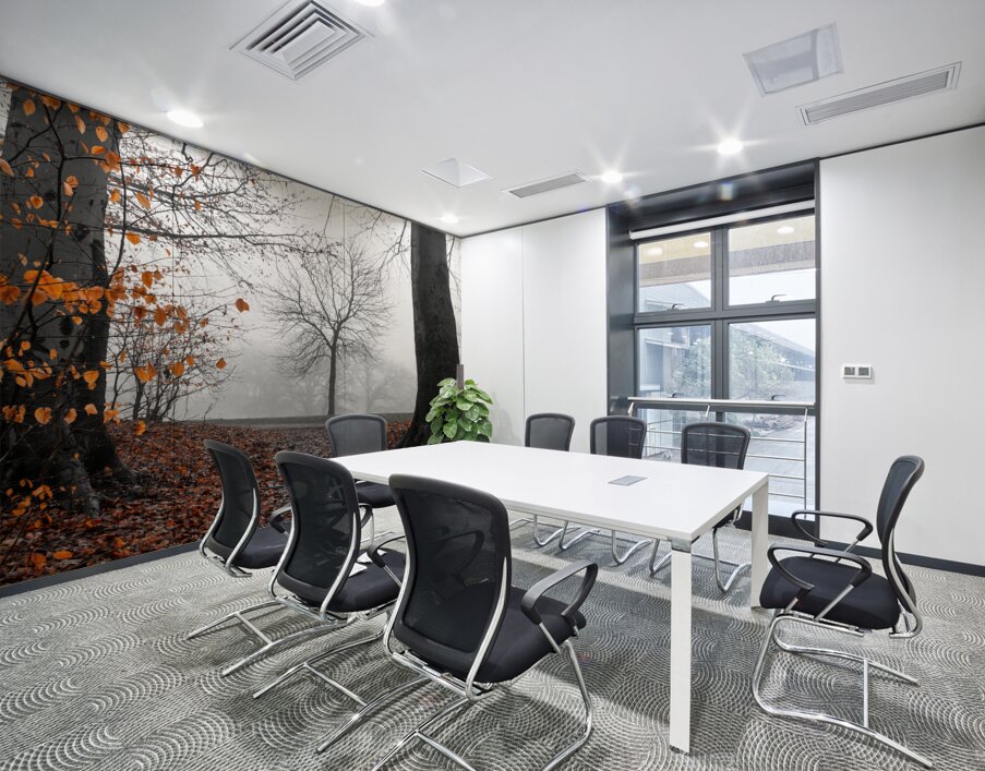Trees and orange leaves in a park on a foggy morning  Wall Printing