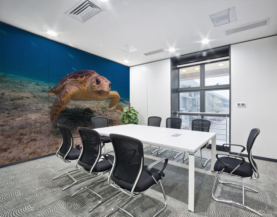 IMG 3843 Loggerhead Turtle Wall Printing