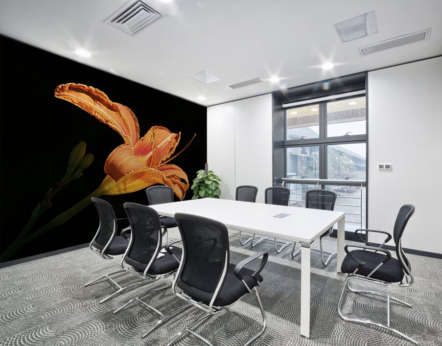 IMG 0846 sq upscayl 4x ultrasharp 4x Wall Printing