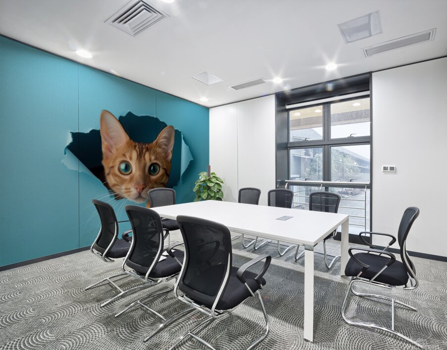 Curious Cat Peeking Through Blue Wall Hole Wall Printing