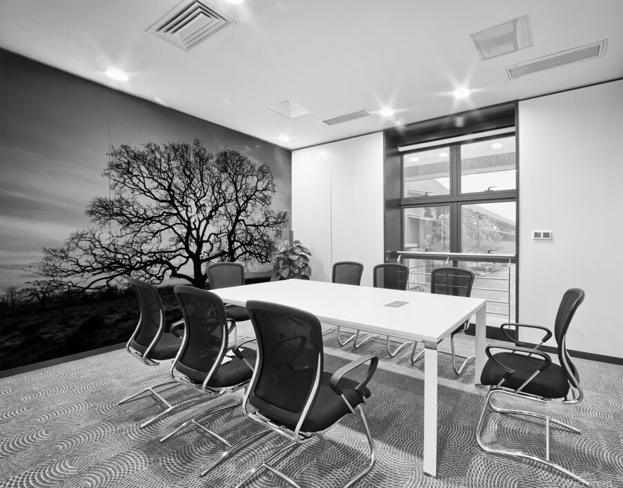 Timeless Strength Monochrome - Lone oak in the Sacramento Riverbend Area - Tehama County California Wall Printing