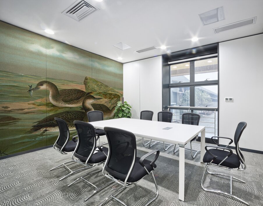 Gavia arctica [L.]. Polar–Seetaucher. By Johann Friedrich Naumann [1780–1857] Wall Printing