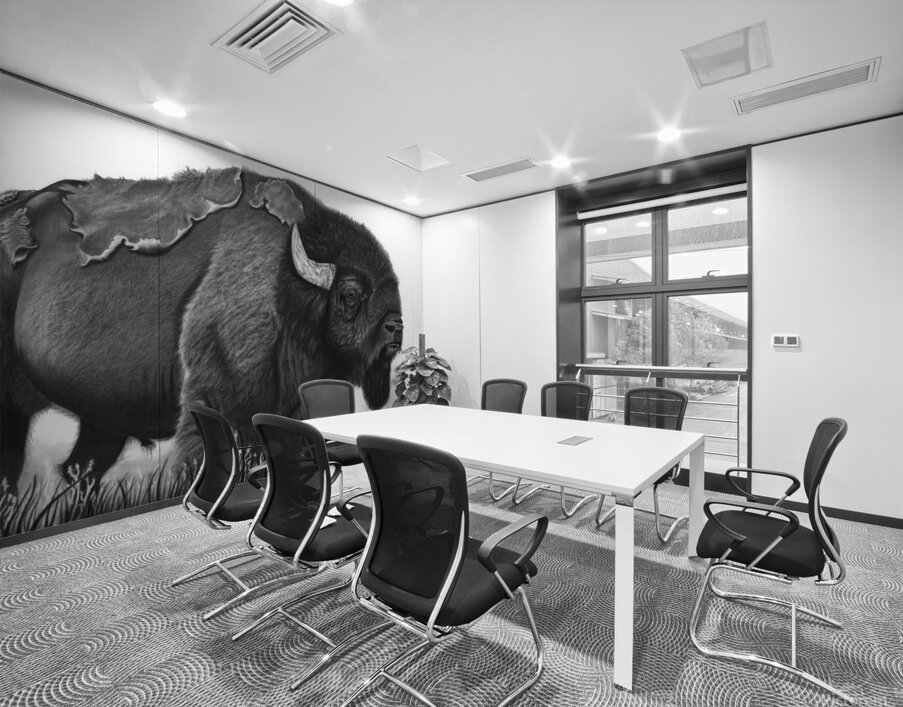 buffalo Wall Printing