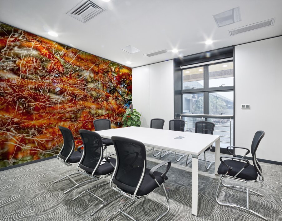 Peces de colores Wall Printing