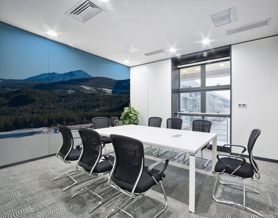 DSC 3357 Wall Printing