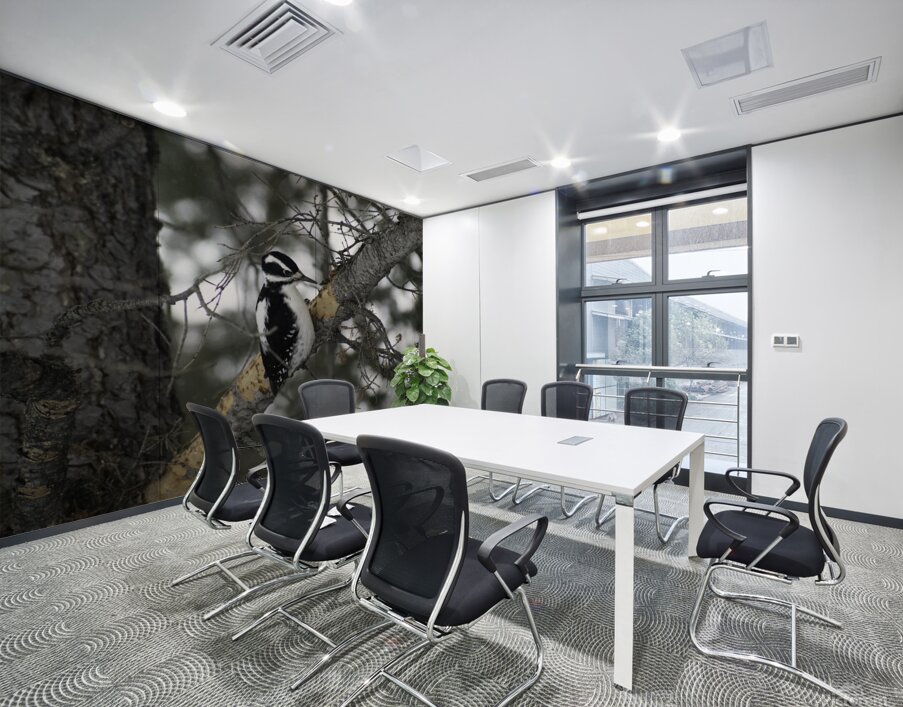 DSC 8012 Wall Printing