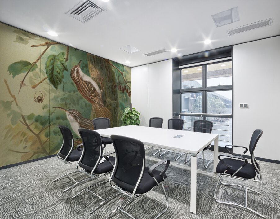 Certhia familiaris. Certhia familiaris brachydactyla by Johann Friedrich Naumann [1780–1857] Wall Printing