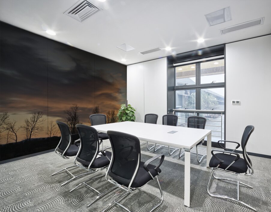 FS250125DW Wall Printing