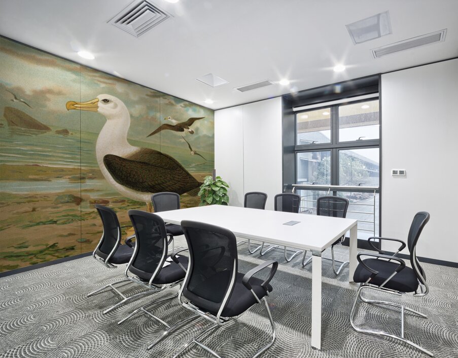 Diomedea melanophrys Boie. Schwarzzugeliger Albatros by Johann Friedrich Naumann [1780–1857] Wall Printing