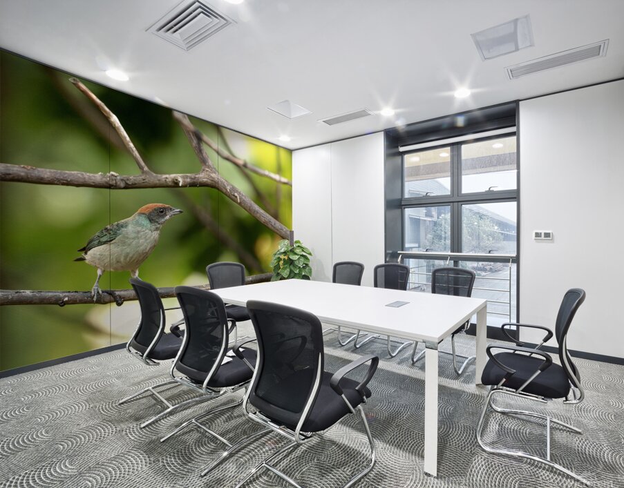 Stilpnia vitriolina Wall Printing