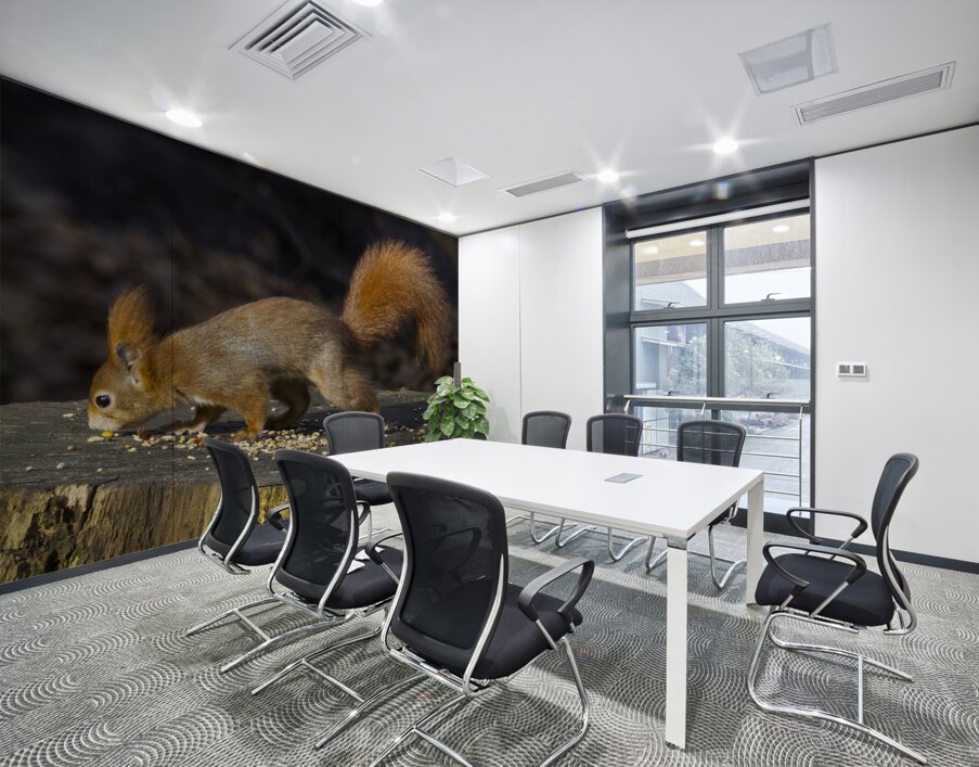 Vibrant Red Squirrel Standing on a Tree Stump in Natural Setting Wall Printing