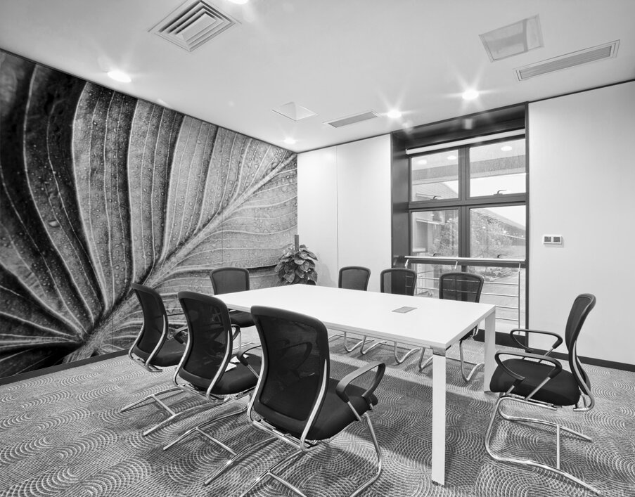 Abstract botanical pattern of tropical calathea leaf Wall Printing