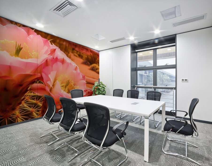   prompt   close up  blooming desert cactus  vibr Wall Printing