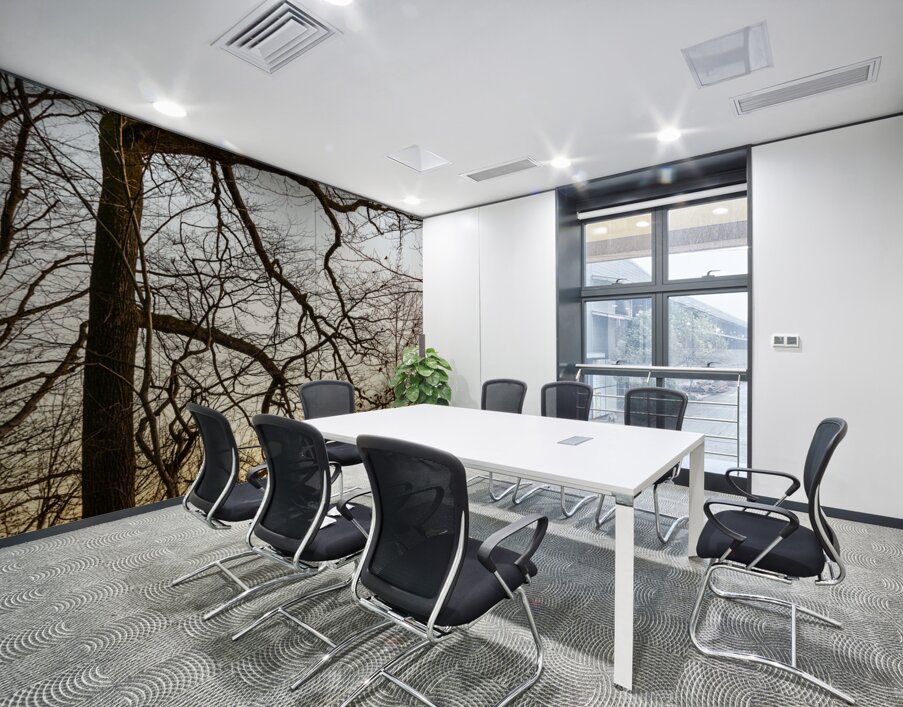 Beautifully shaped tree at the edge of the forest at sunset  Wall Printing