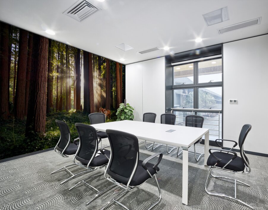 Redwoods Elf I Wall Printing