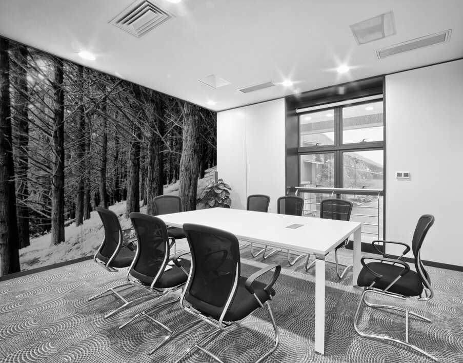 Presidio Cyprus Wall Printing