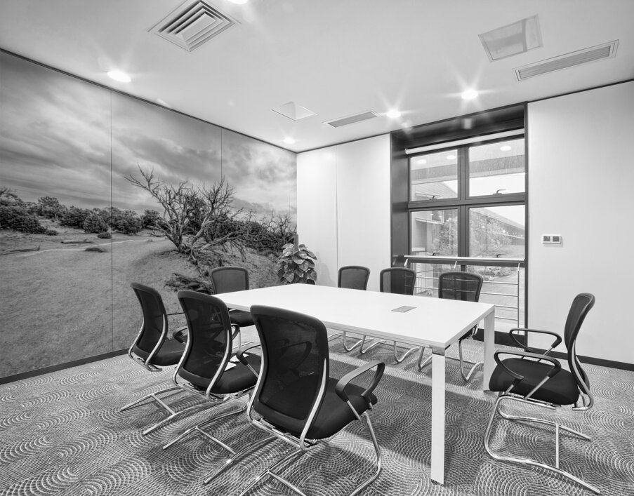 Juniper Along Mesa Arch Trail Grayscale Wall Printing