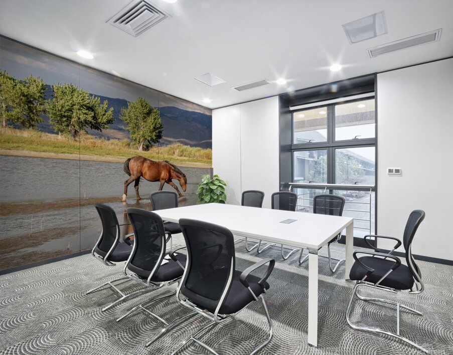 Wild Horse Reaching For Water Wall Printing