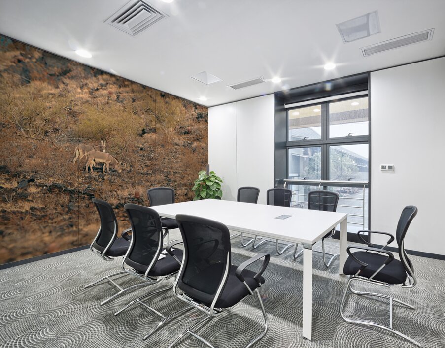 DSC 5281 Wall Printing