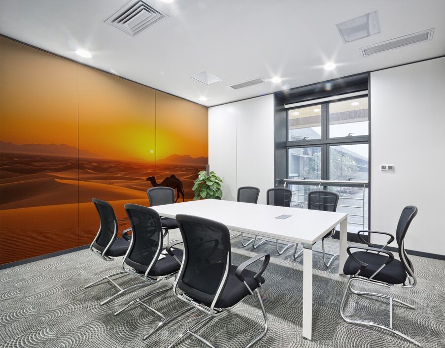  Camel walking on the sand Wall Printing