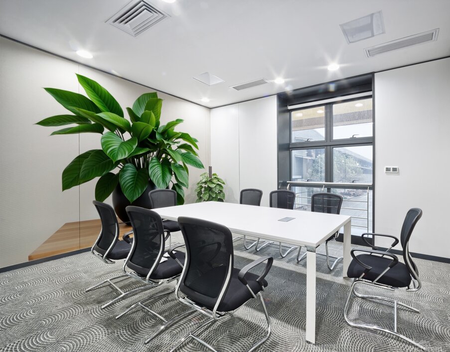 Vibrant Green Plant in Modern Black Pot Wall Printing