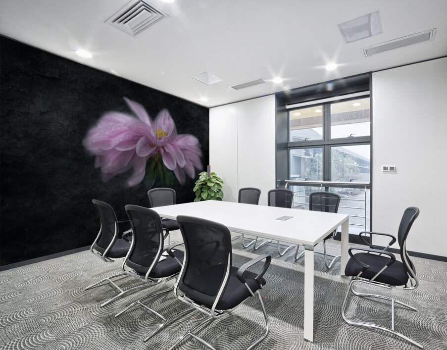 Soft Pink Dahlia on Black Wall Printing