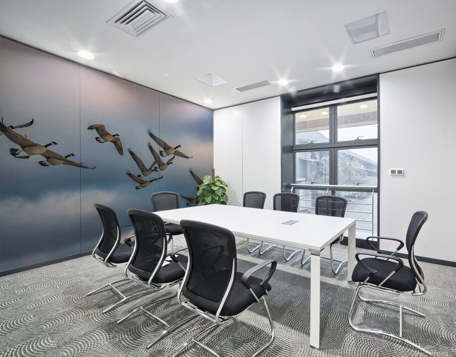 Canada geese and sky Wall Printing