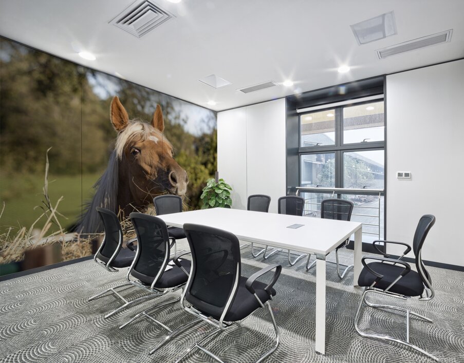 Palomino side eye Wall Printing