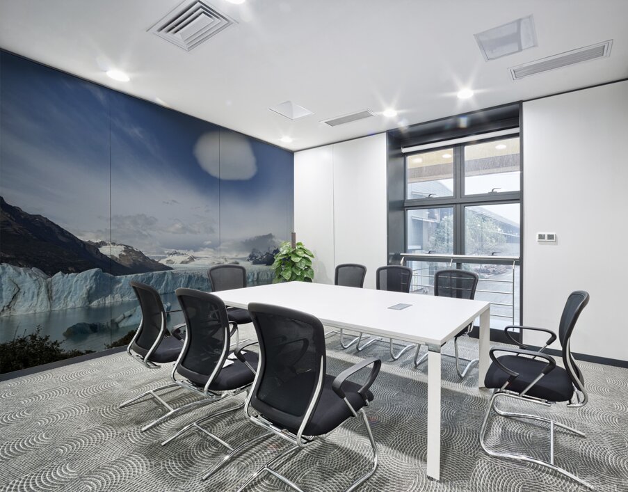 Patagonia Wall Printing