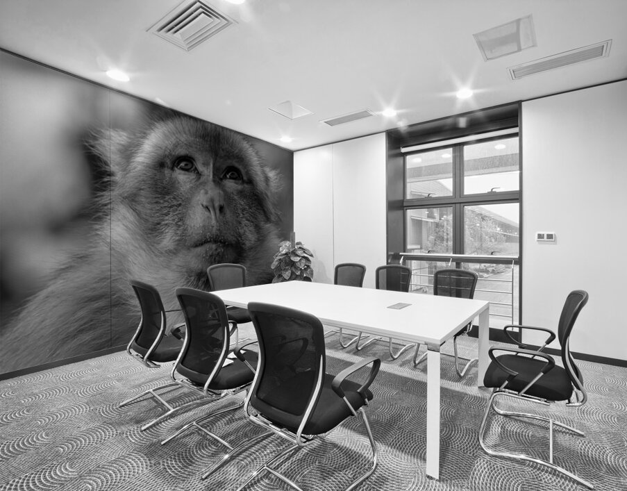 Greedy Friend- Moroccan Monkey Wall Printing