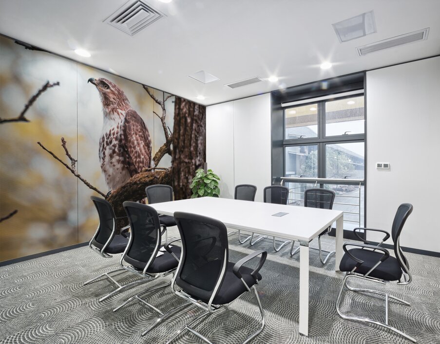 Red Tailed Hawk Wall Printing