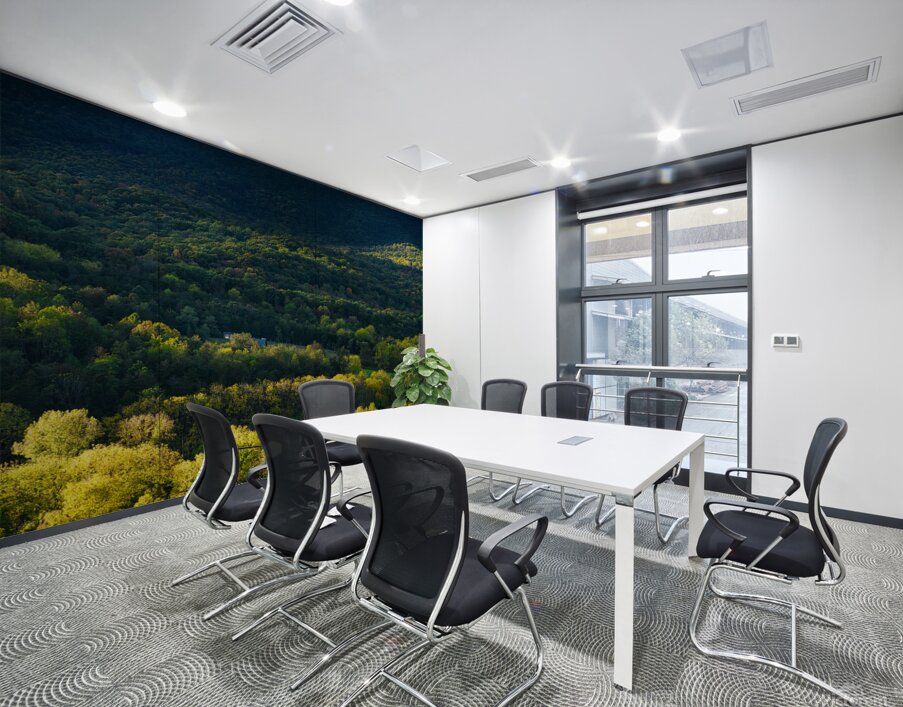 Shenandoah Forest Sunset Wall Printing