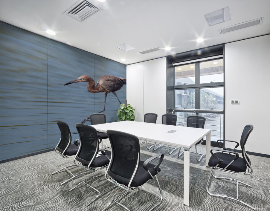 Reddish Egret 3351 Wall Printing