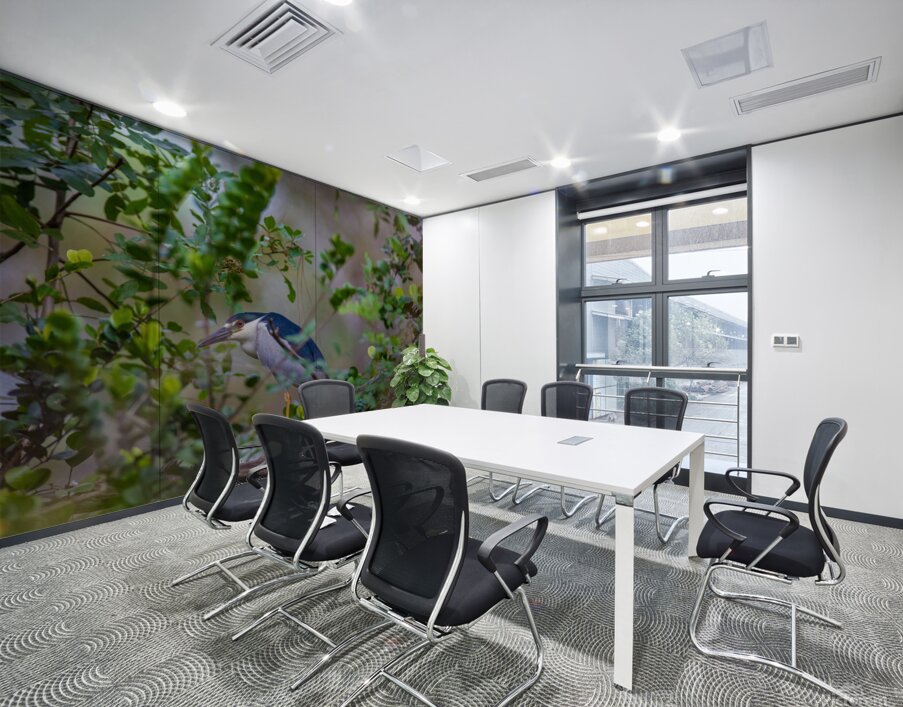 Black crowned Night Heron 9888 Wall Printing