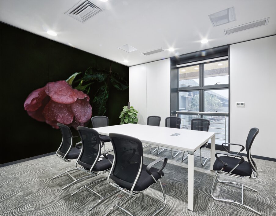 Pink Rose with Raindrops Wall Printing