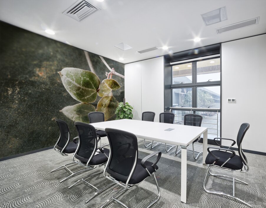 Green leaves of ceropegia woodii Wall Printing