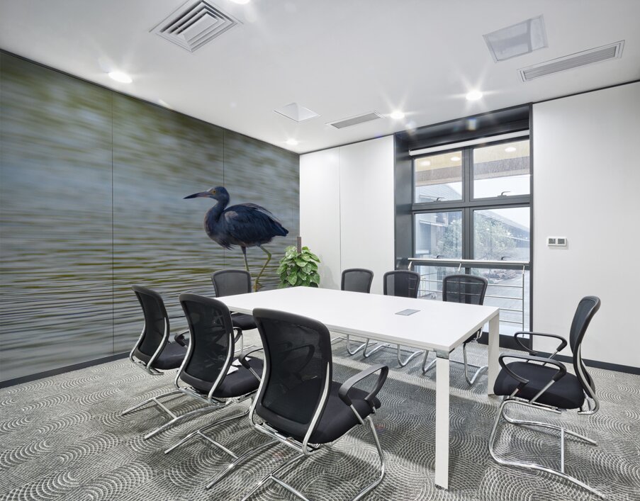 Little Blue Heron 3242 Wall Printing