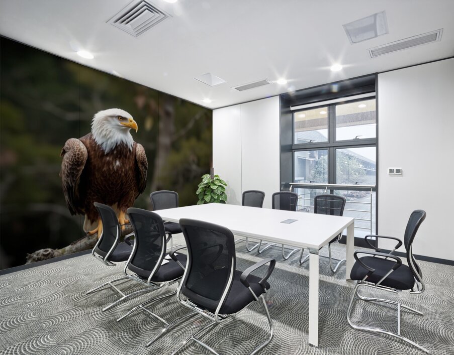 Majestic bald eagle perched gracefully on a branch Wall Printing