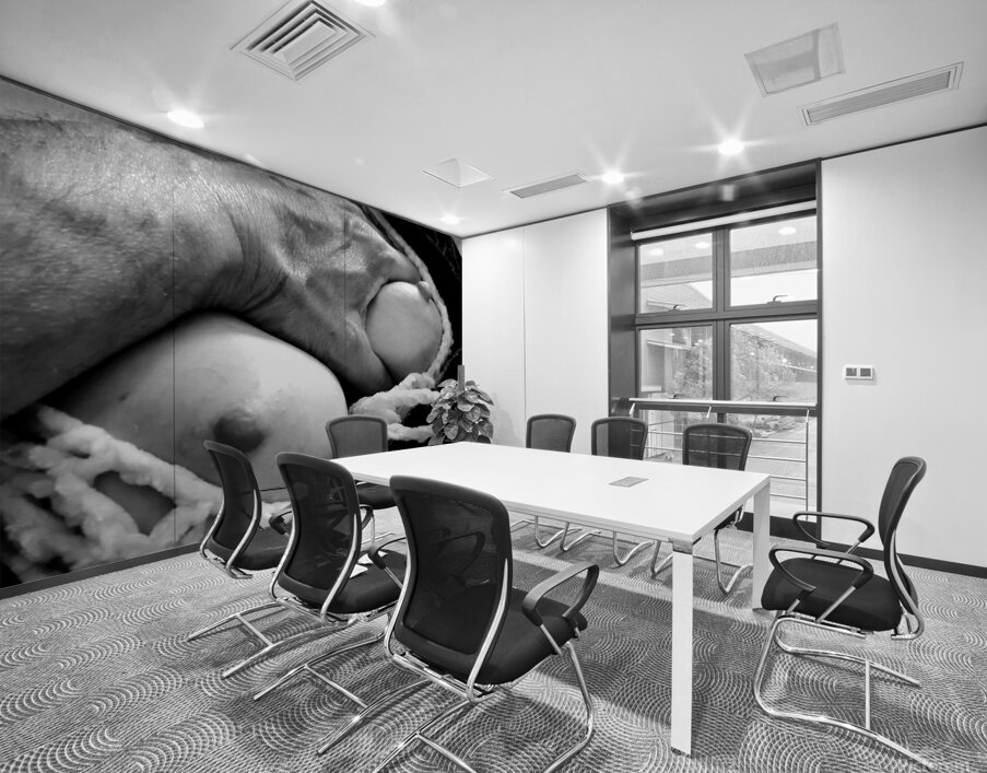 Nude Breasts - Left Hand Hold Left Breast Wall Printing