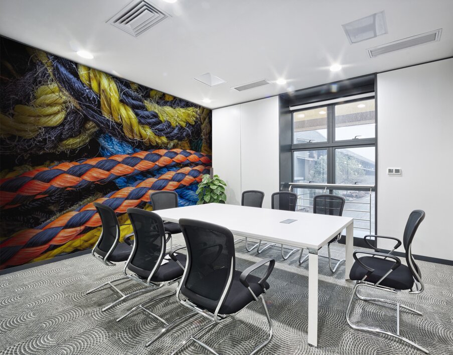 FS120331 ROPES Wall Printing