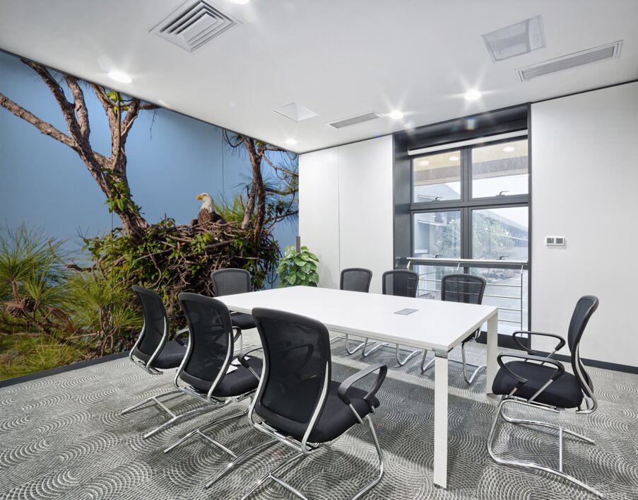 Bald Eagle 9148 Wall Printing