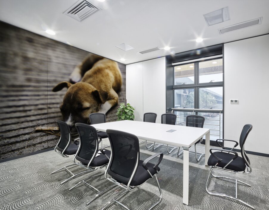 Resting Innocence – Cebu Philippines Wall Printing