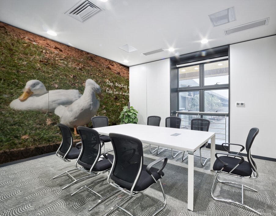 Ducks gathering together discussing Wall Printing