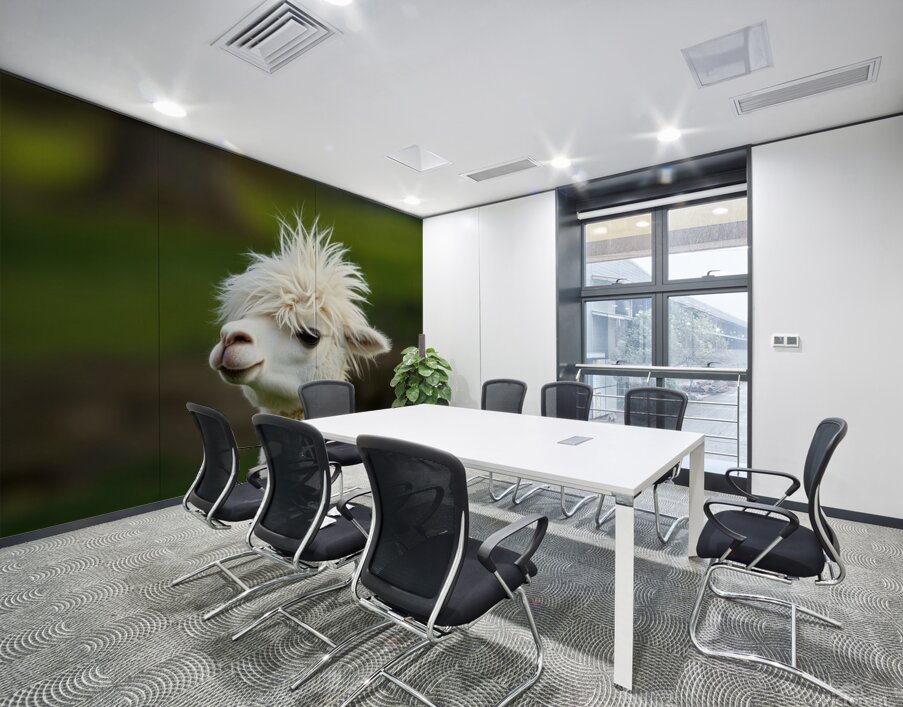 Alpaca with a Funky Hairstyle Wall Printing