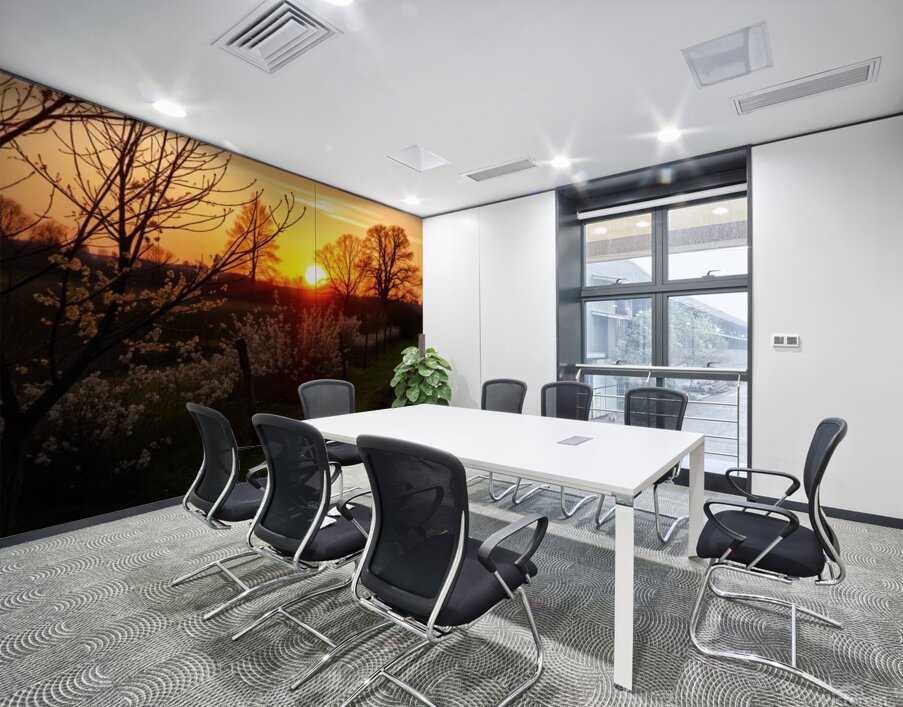  Stunning mural depicting a serene sunset over a vibrant field adorned with trees and blooming flowers. Wall Printing