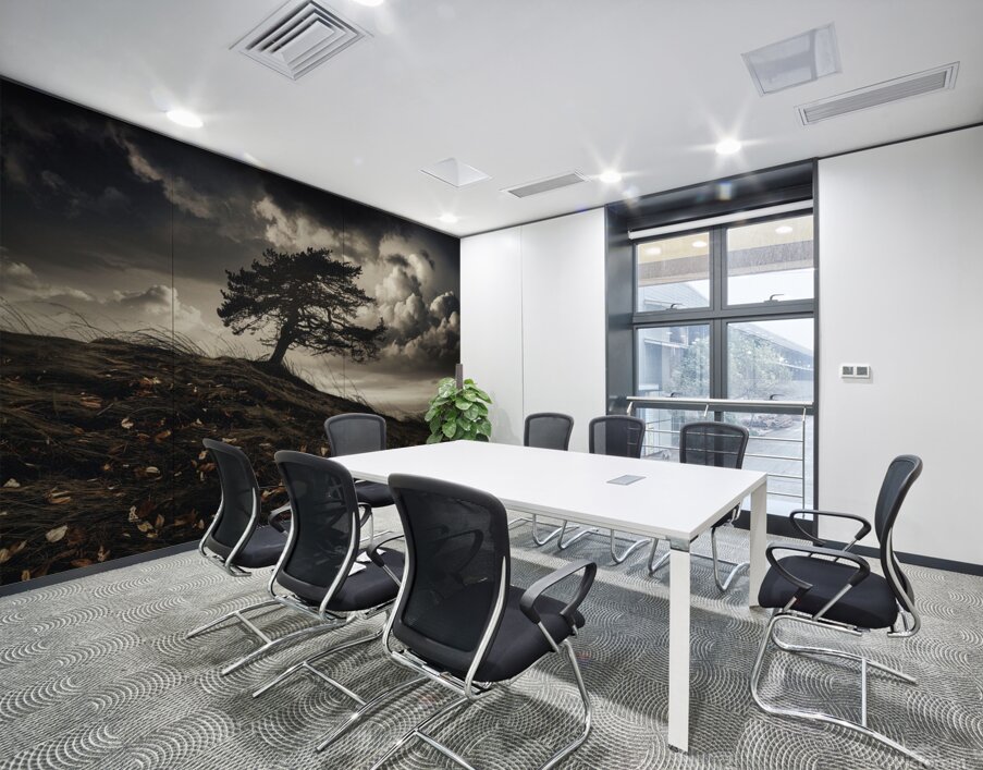 Autumn Forest Path: Serene Nature Landscape Photography Wall Printing